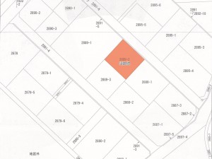 字図