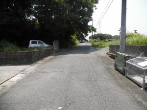 CIMG2461