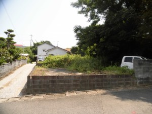 CIMG2462