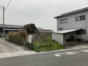 IMG_0164