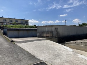 IMG_0401