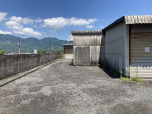 IMG_0404