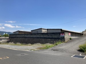 IMG_0405