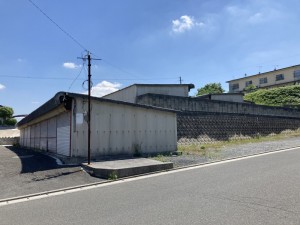 IMG_0410