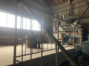 IMG_0645