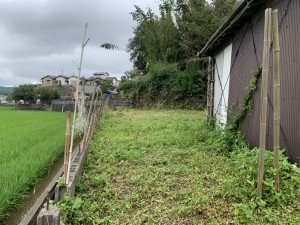 IMG_1041