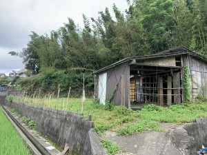 IMG_1044