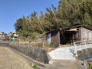 IMG_1981