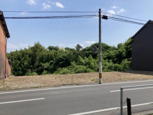 IMG_2040