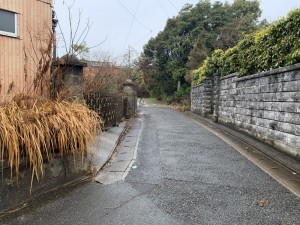 IMG_2165