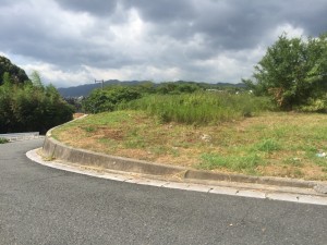 IMG_4122