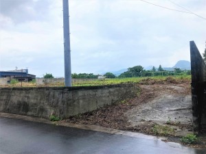 IMG_4136 (2)