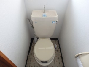 P1131636