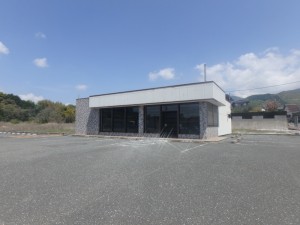 P4182394