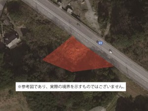 航空写真